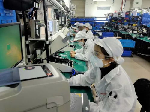 數據驅動復蘇 2月失業(yè)率回落至6.2% 全面復工與數據處理服務助力勞動力市場回暖